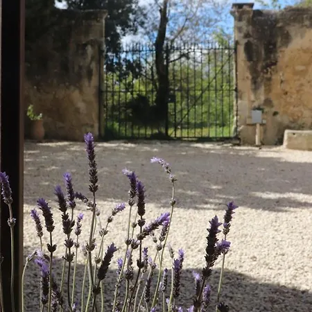 Mas Provencale Datant De 1738 Avec Piscine Holiday home Saint-Paul-Trois-Chateaux